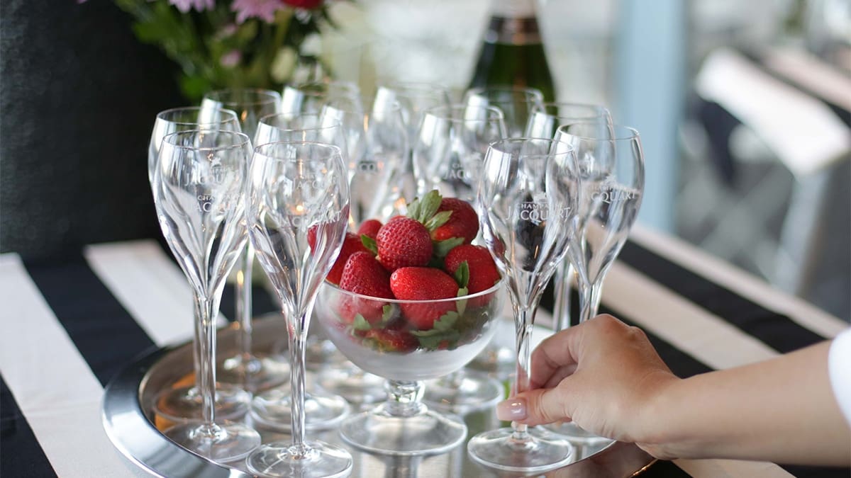 Birthday parties sunshine coast high teA