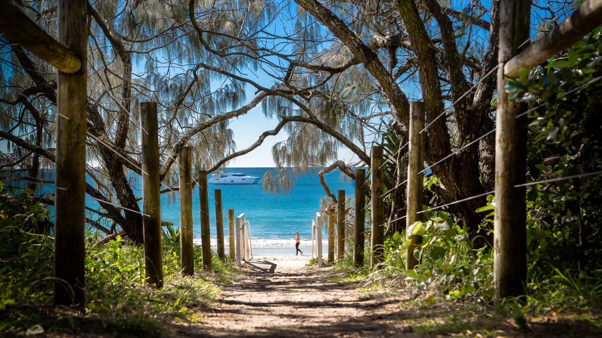 Best picnic locations around the Sunshine Coast